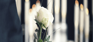 une rose blanche