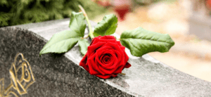 une rose rouge
