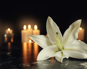 lis blanc et bougies